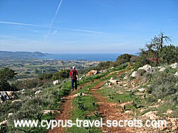 cyprus winter flights