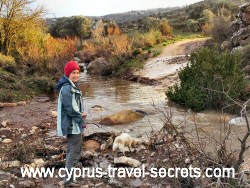 rain damage cyprus