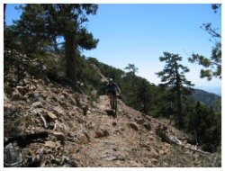 mountain bike atalante trail